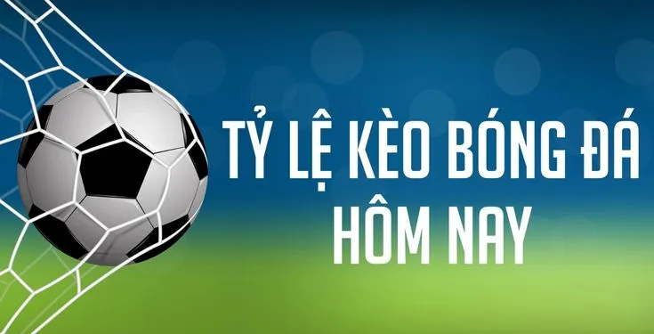 Tỷ lệ kèo Mksport